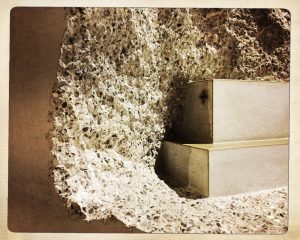 dslh-2016-anne-foures_0066