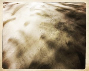 dslh-2016-anne-foures_6177