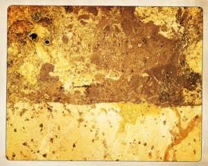 dslh-2016-anne-foures_7298