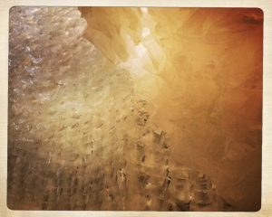 dslh-2016-anne-foures_9013