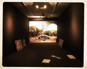 dslh-2016-anne-foures_2010